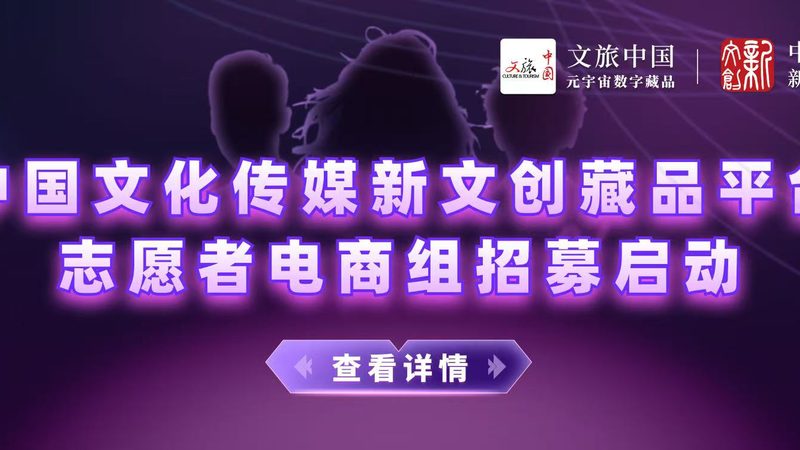 品牌策划合同终止条款：解析与风险规避